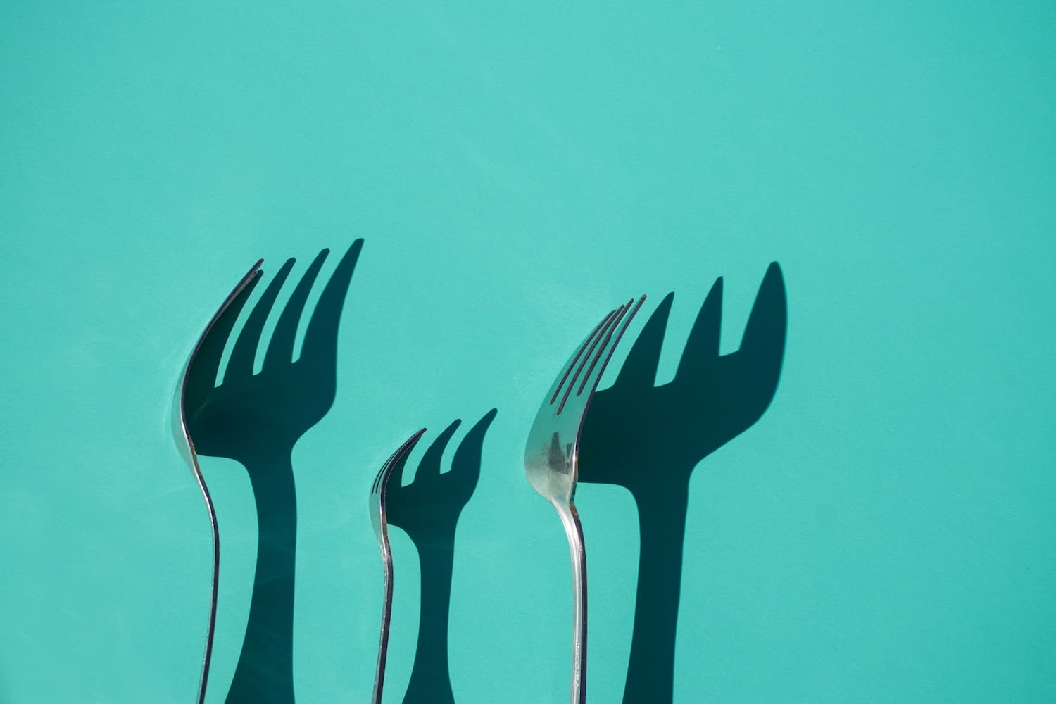 forks and their shadow